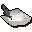 white cavalier